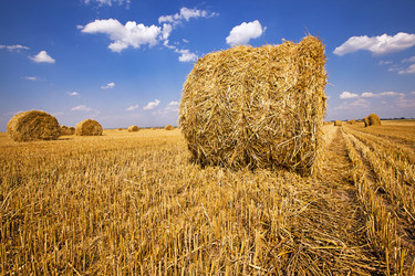 Similar image 8382258