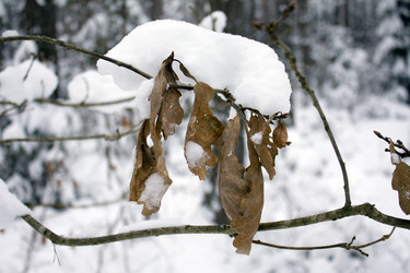 Similar image 8382275