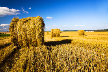 Similar image 8382276