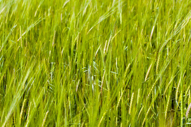 Similar image 8382314