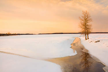 Similar image 8382322