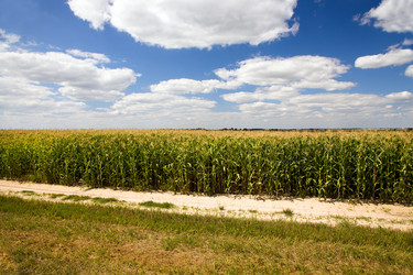 Similar image 8382327