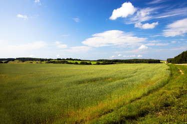 Similar image 8382335