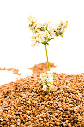 Similar image 8382379