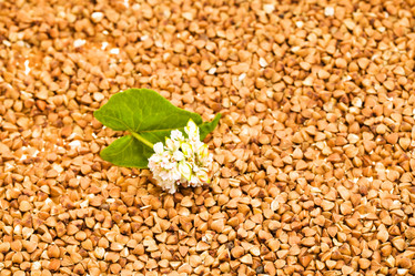 Similar image 8382383