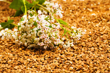 Similar image 8382386