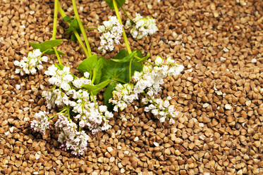 Similar image 8382395