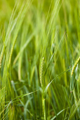 Similar image 8382407