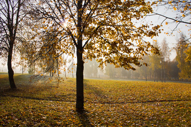 Similar image 8382409