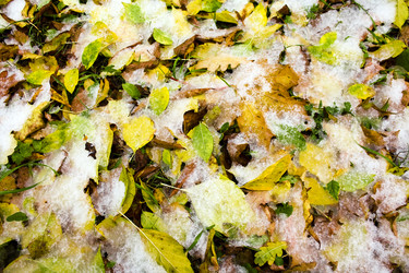 Similar image 8382412