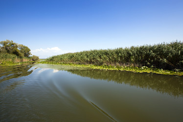 Similar image 8382434