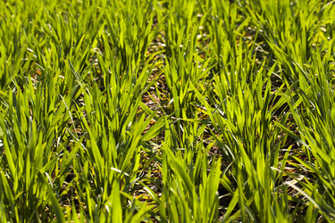 Similar image 8382440