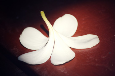 Similar image 8382451