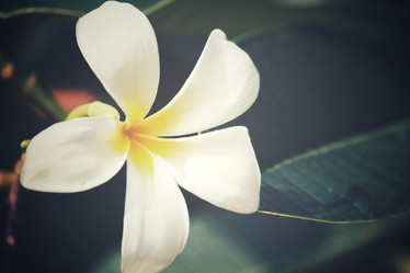 Similar image 8382505