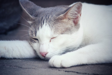 Similar image 8382508