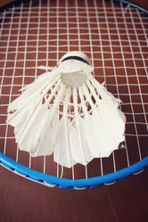 Similar image 8382510