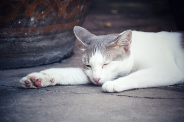 Similar image 8382518