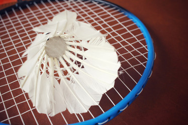 Similar image 8382519