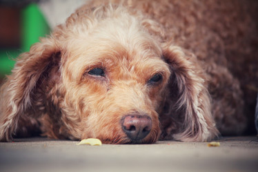 Similar image 8382524