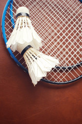 Similar image 8382564