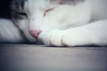 Similar image 8382581