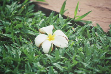 Similar image 8382582