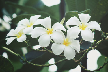 Similar image 8382604