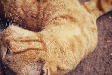 Similar image 8382620