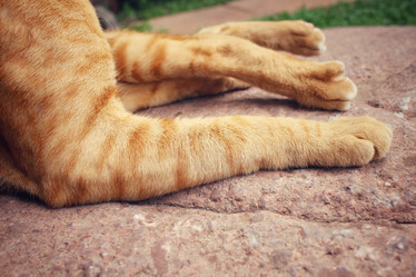 Similar image 8382622