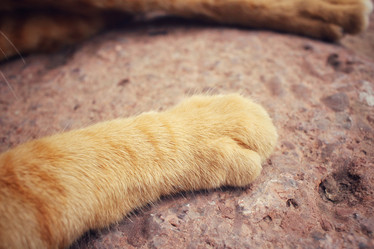 Similar image 8382624