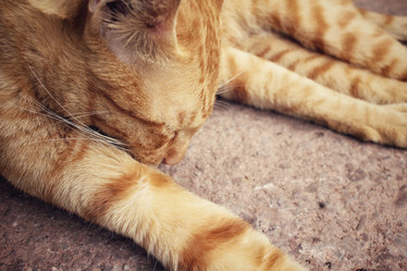 Similar image 8382627