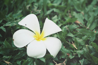 Similar image 8382648