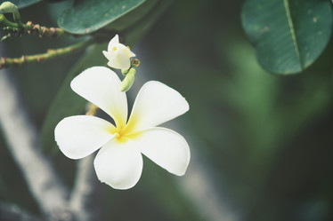 Similar image 8382652