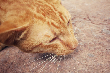 Similar image 8382665