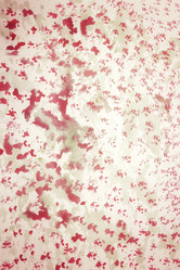 Similar image 8382720