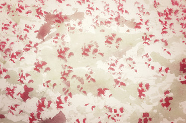 Similar image 8382721