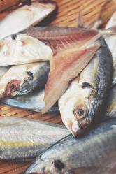 Similar image 8382747