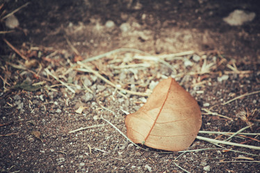 Similar image 8382752