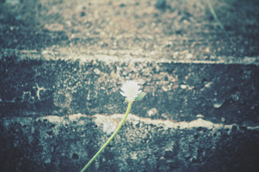 Similar image 8382774