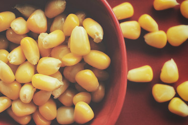 Similar image 8382807