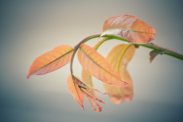 Similar image 8382869