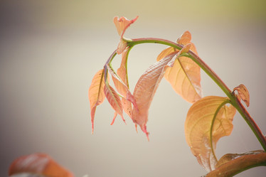 Similar image 8382870