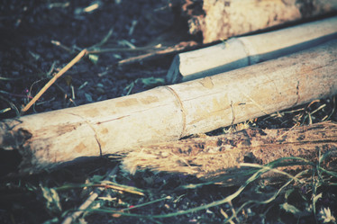 Similar image 8382871