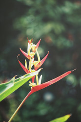 Similar image 8382873