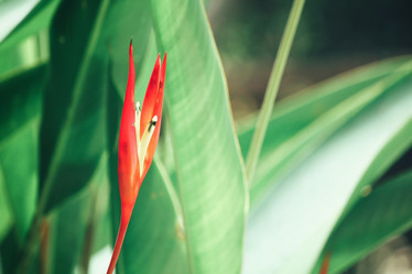 Similar image 8382874