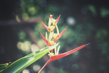 Similar image 8382875