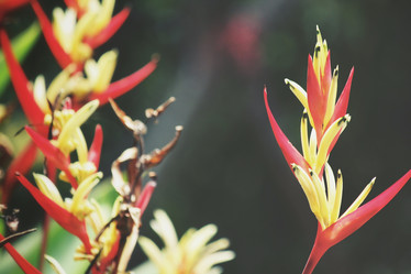 Similar image 8382886