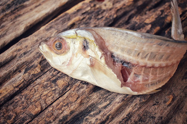 Similar image 8382903