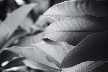 Similar image 8382960