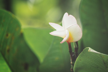 Similar image 8382964